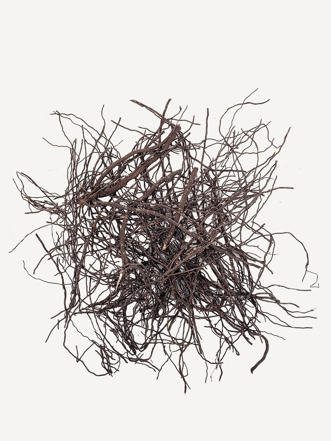 Racine Ancient Neorium Shop