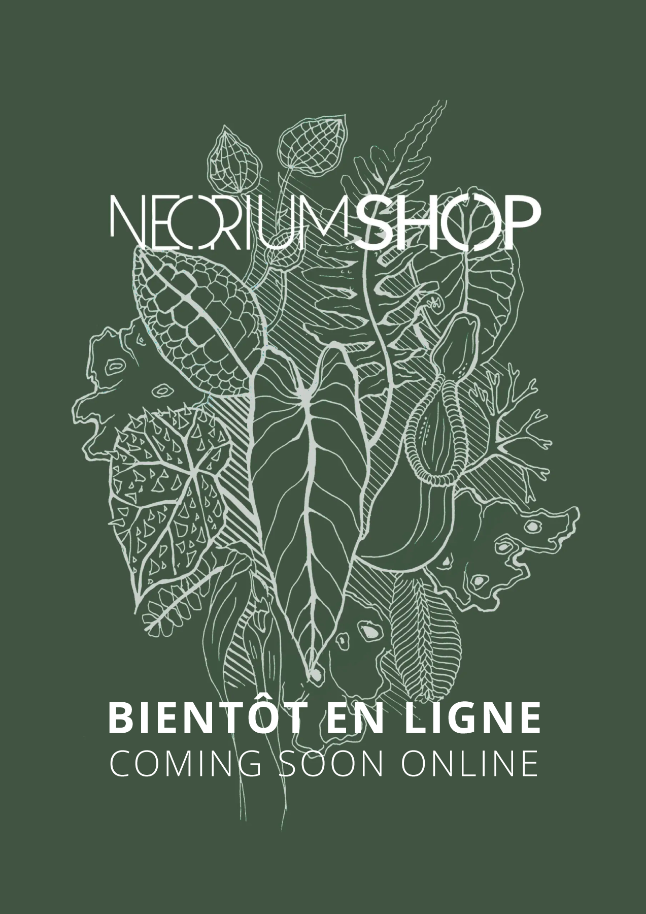 NEORIUM-SHOP-soon-online Binetôt en ligne - Soon Online